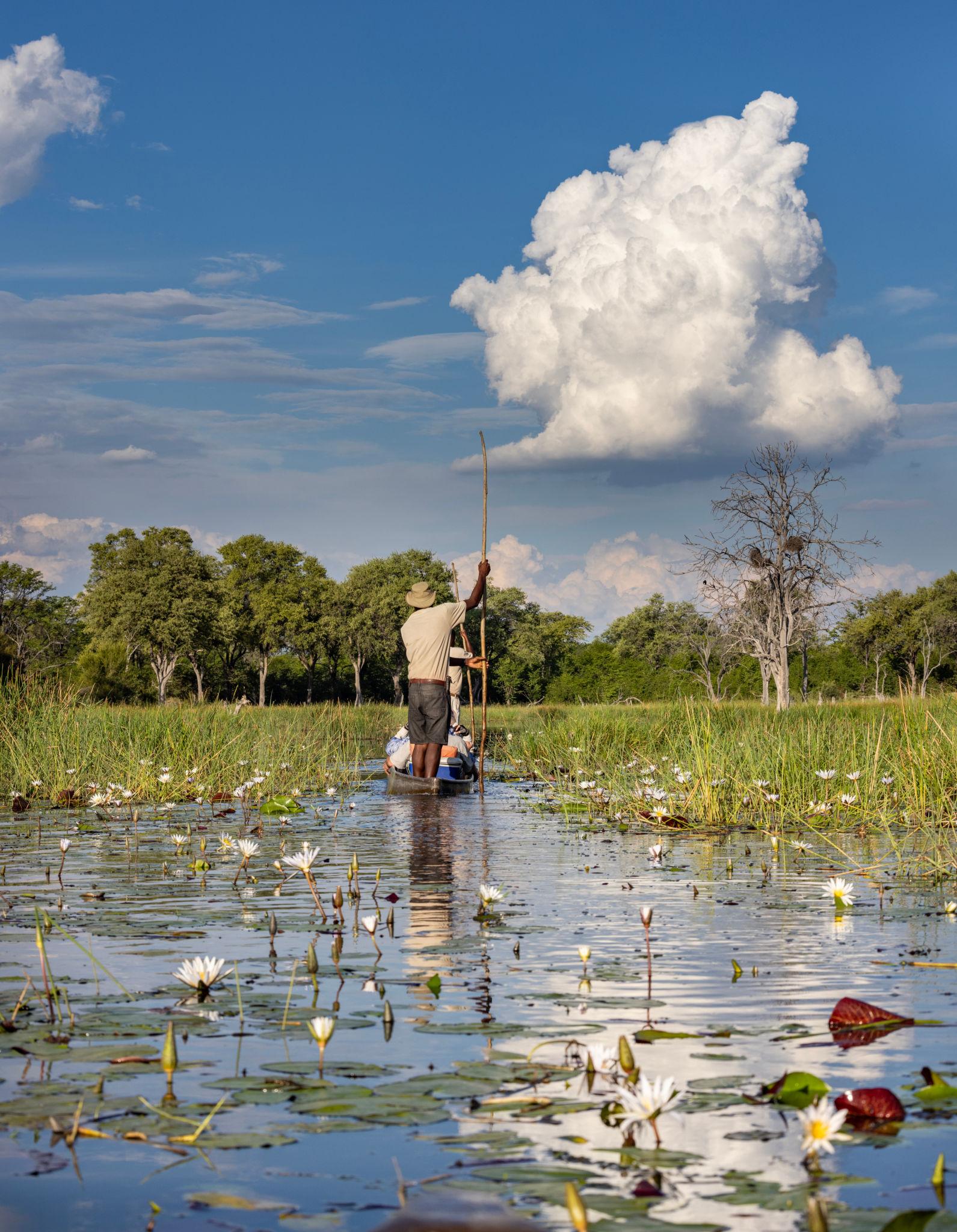 9 Days Ultimate Botswana Safari