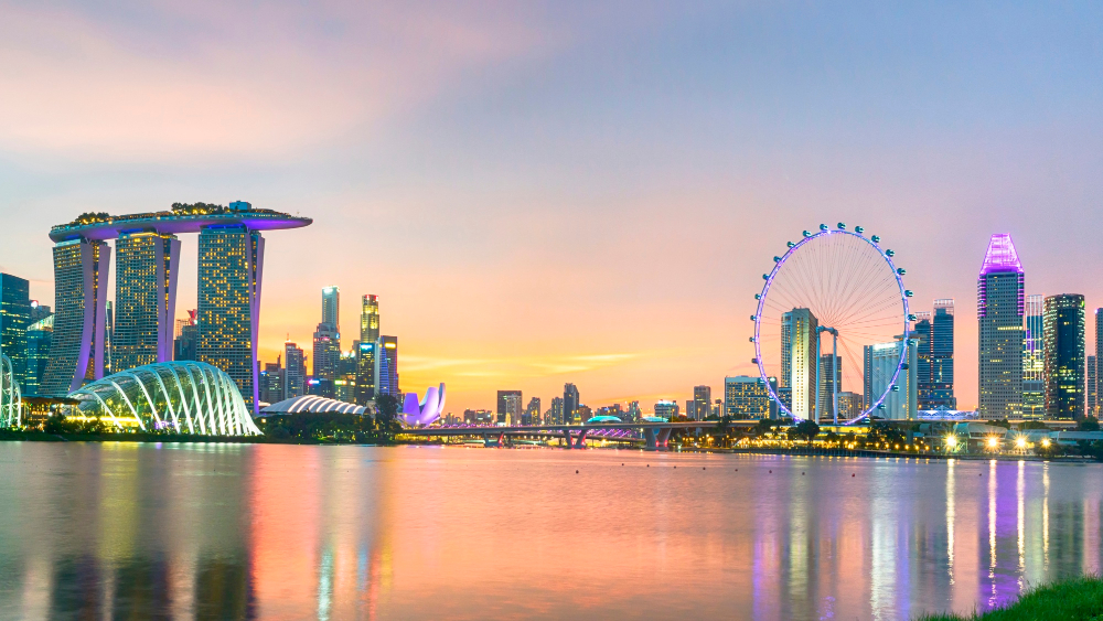 SINGAPORE CITY HOPPER