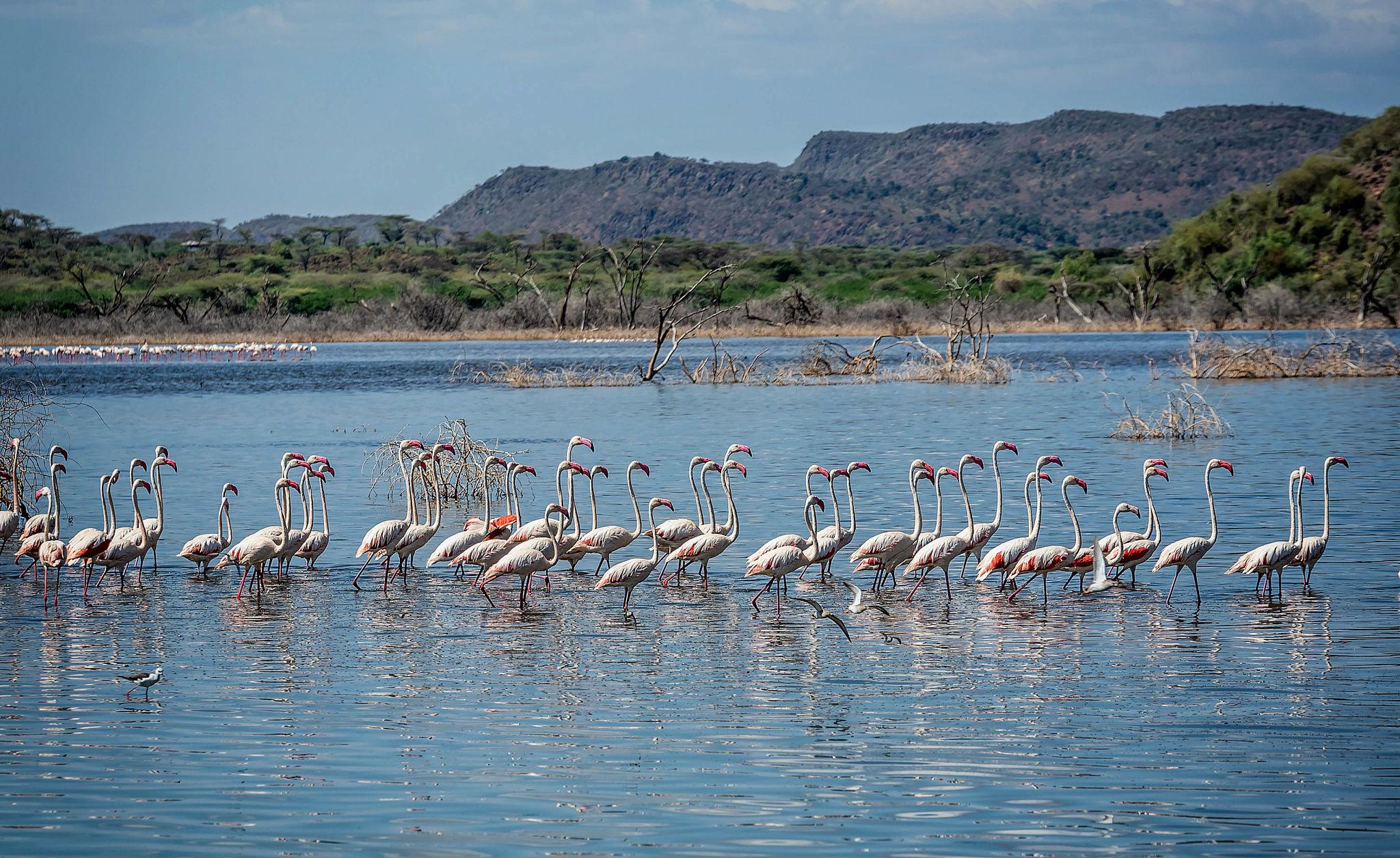 2 Days Flamingo Tour