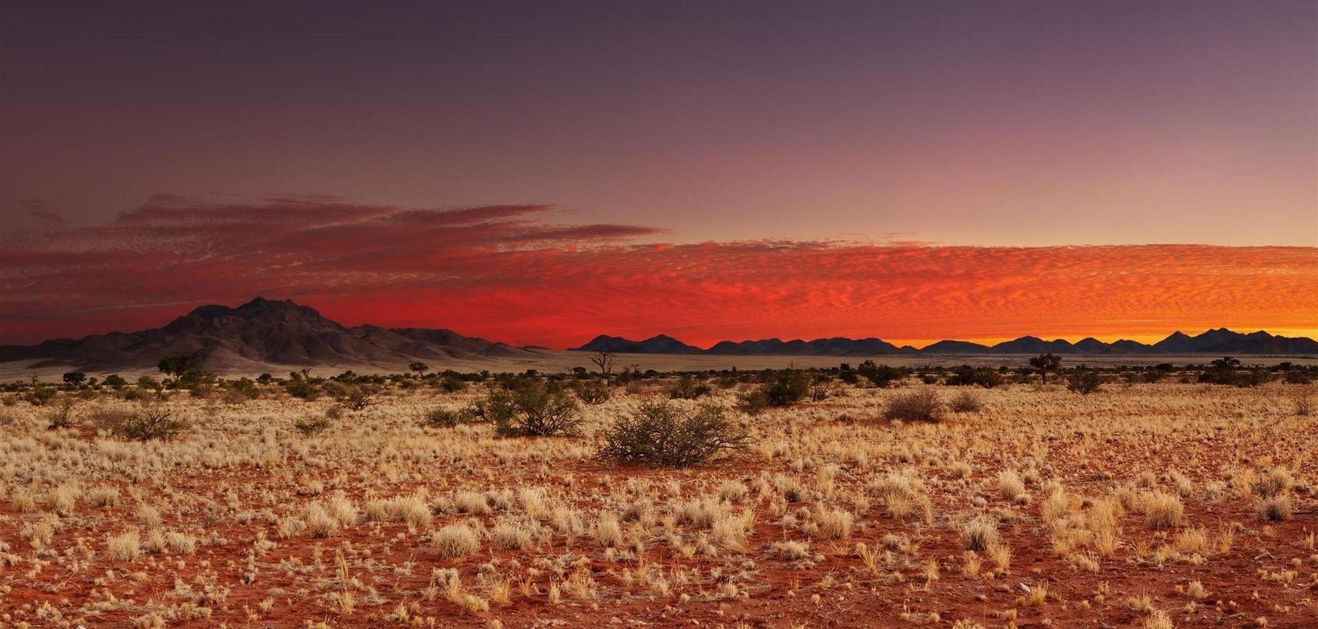 10 Days Luxury Namibia Safari