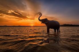 ROYAL RAJASTHAN EXPEDITION: FROM JAIPUR TO JAISALMER