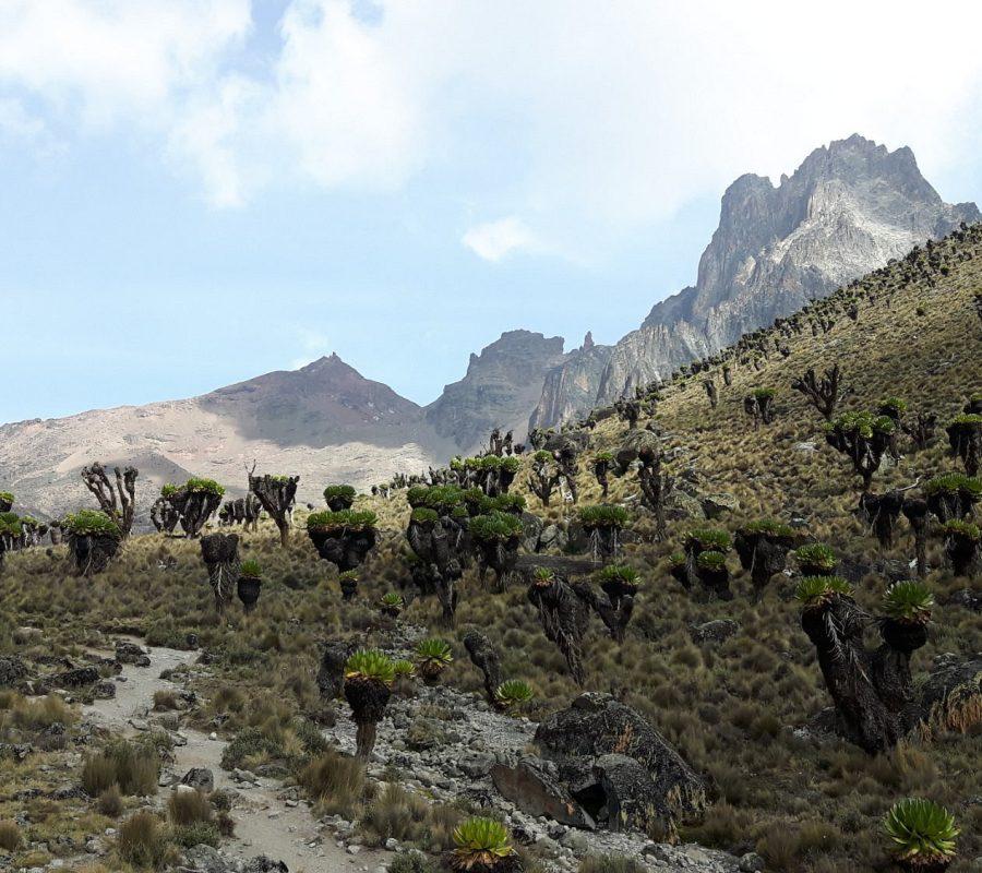 2 Days Mount Kenya Climb