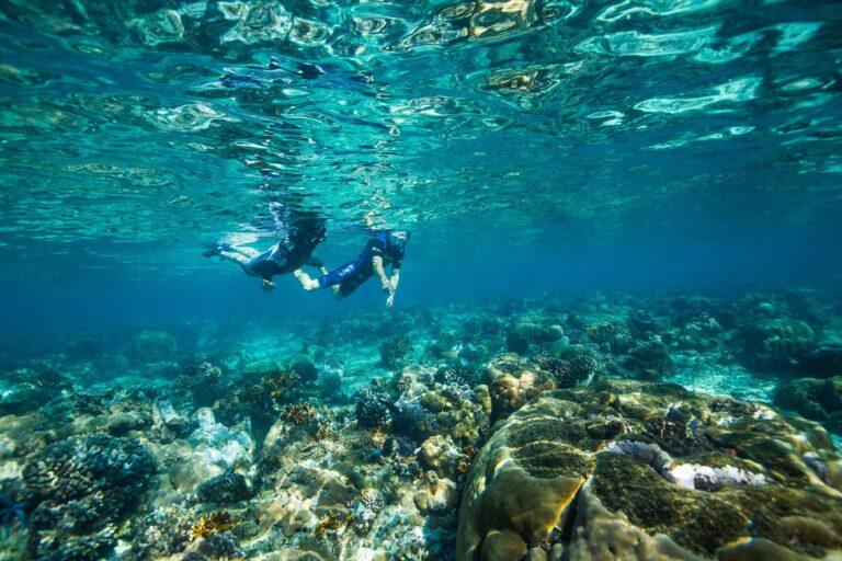 14 Days Mozambique & South Africa Explorer