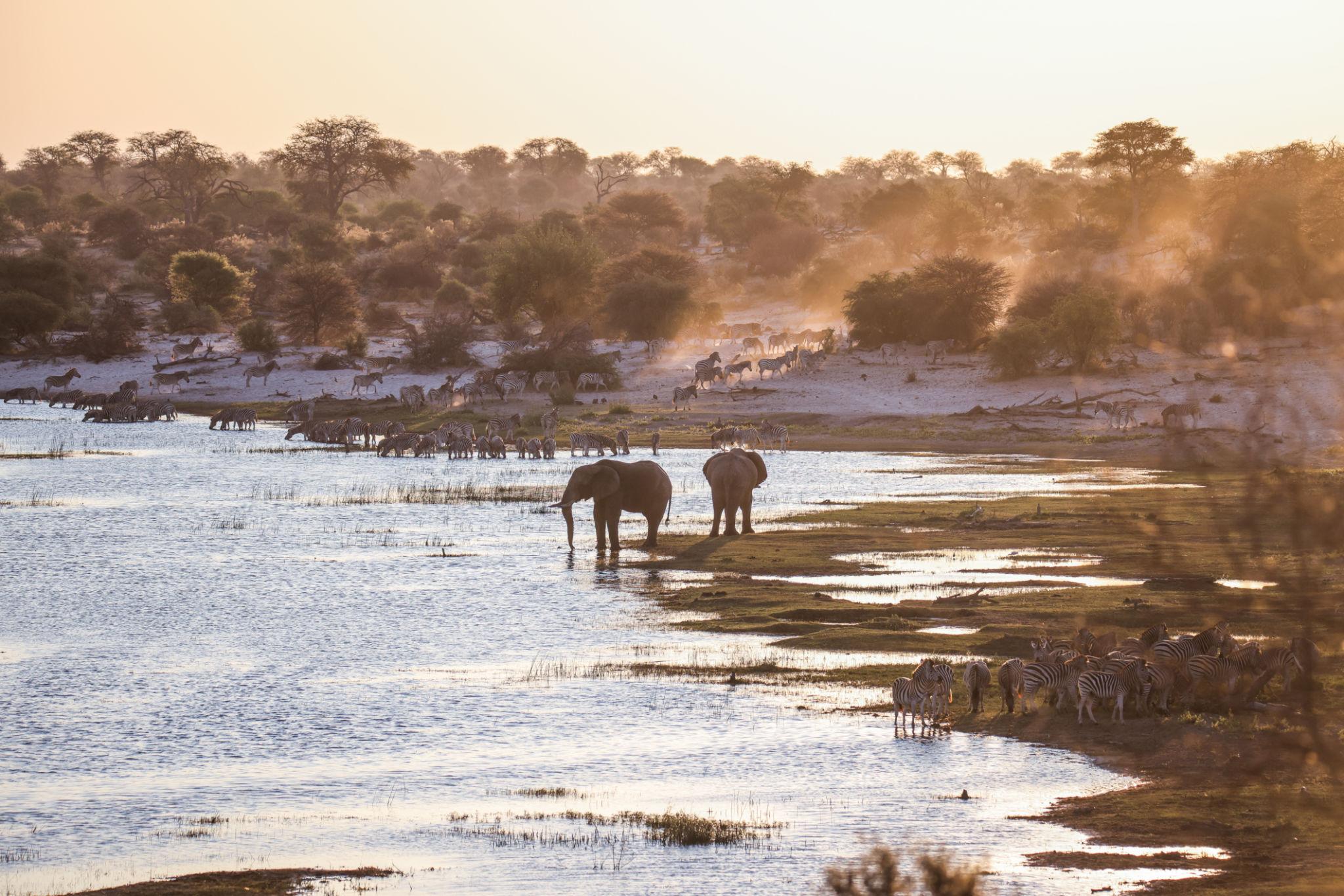 Boteti, Moremi & Khwai Safari Tour 5 Days