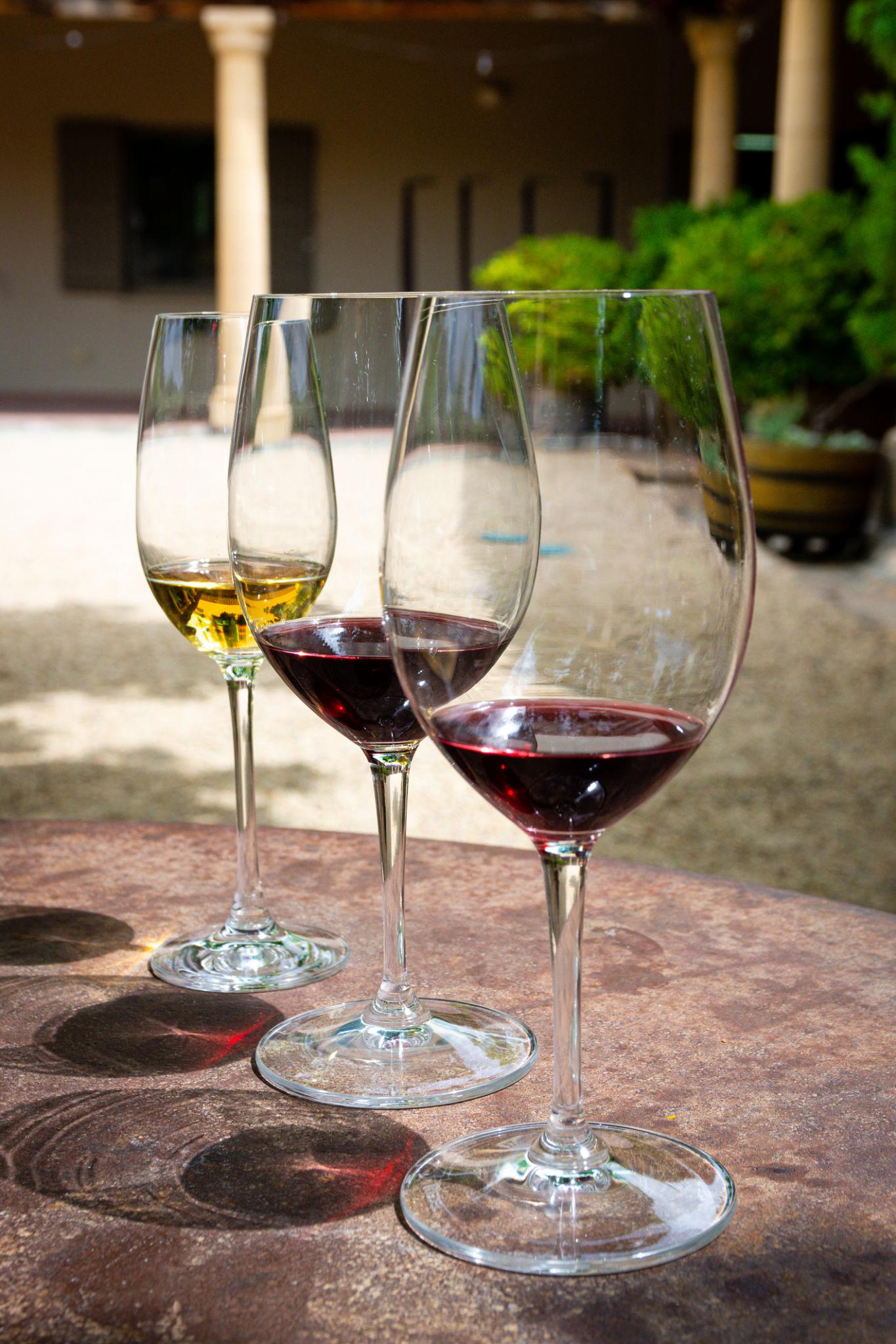 Wine • Wonders • Wildlife