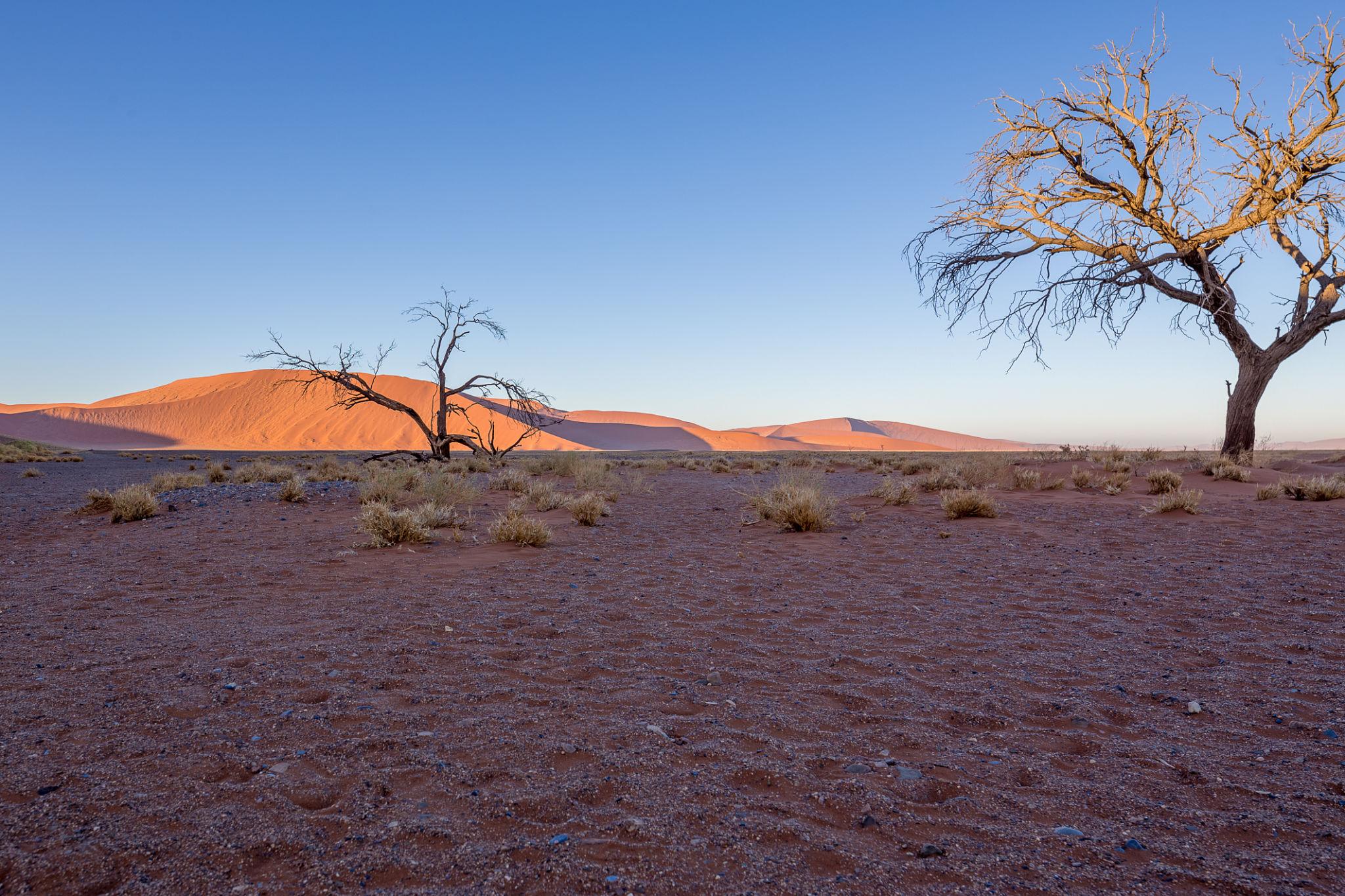 6 Days Explore Etosha, Swakopmund & Sossusvlei Safari – Namibia
