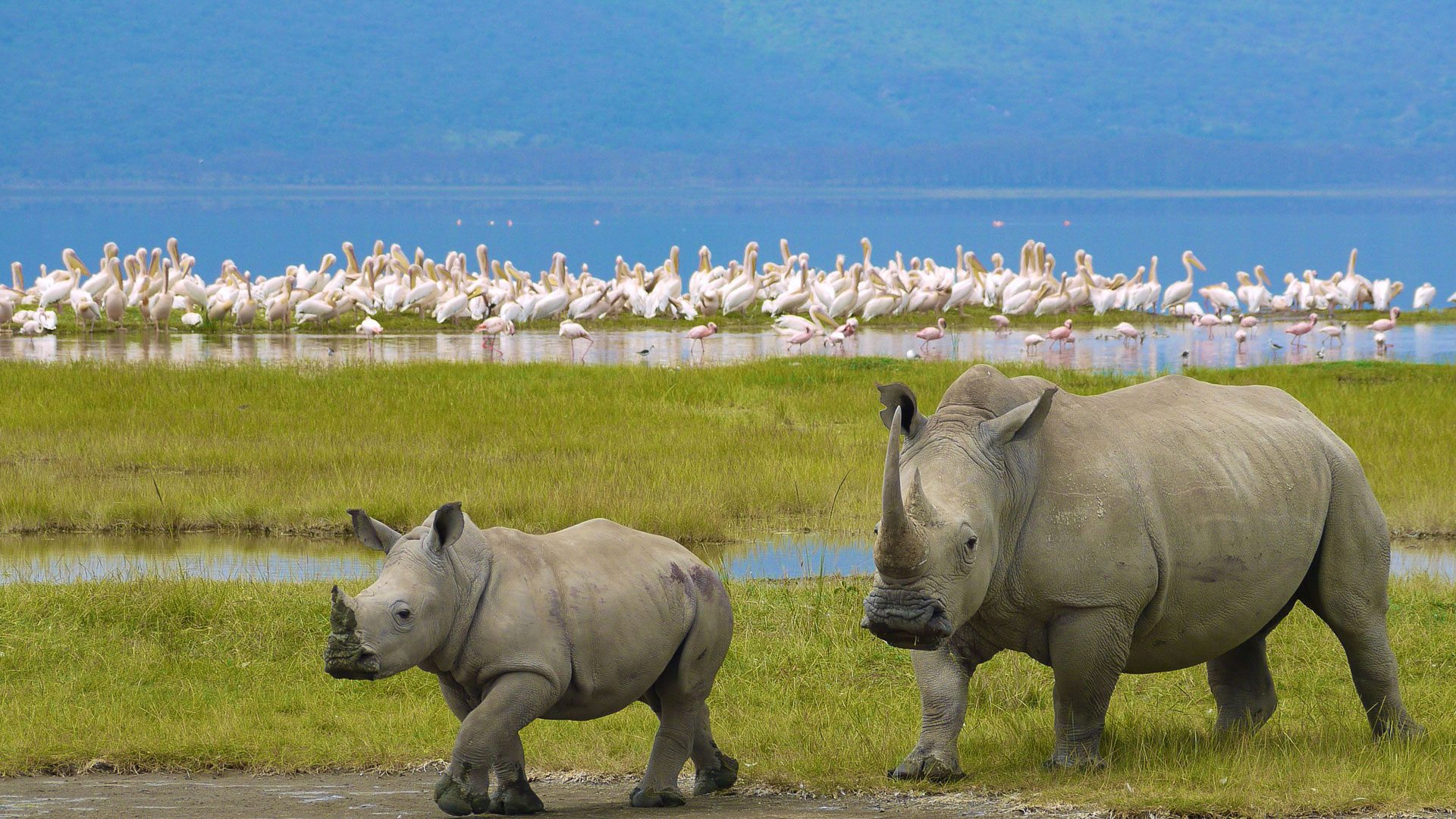 2-Day Lake Nakuru & Hell’s Gate