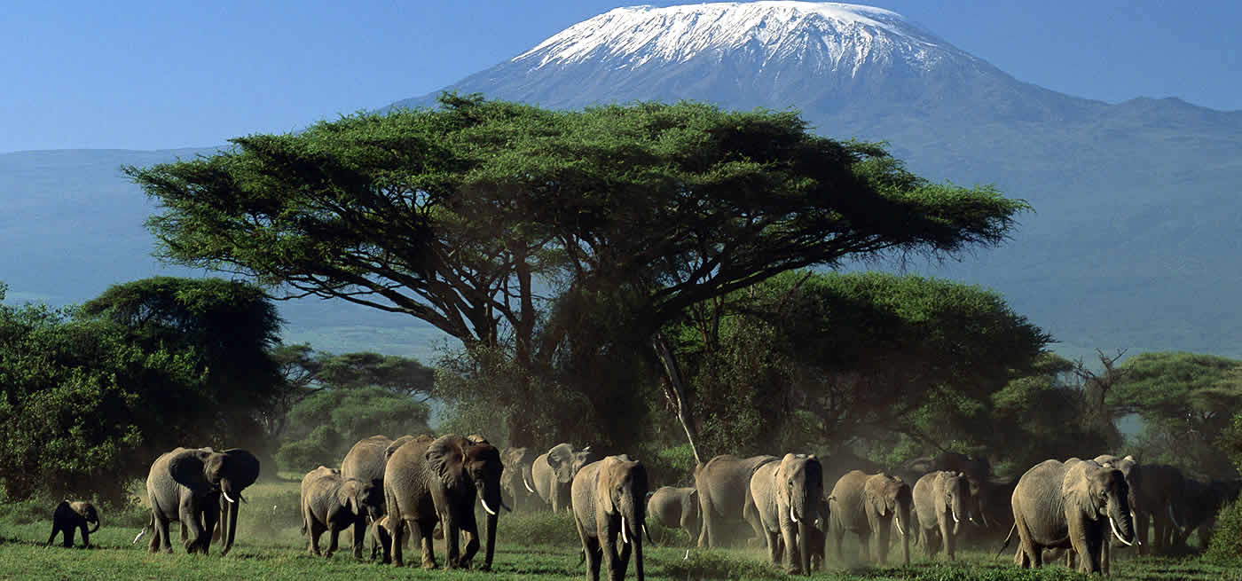 1 Night 2 Days Amboseli