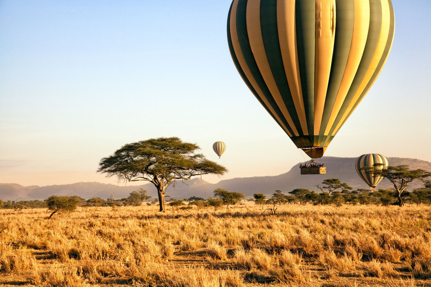 1 Night 2 Days Masai Mara