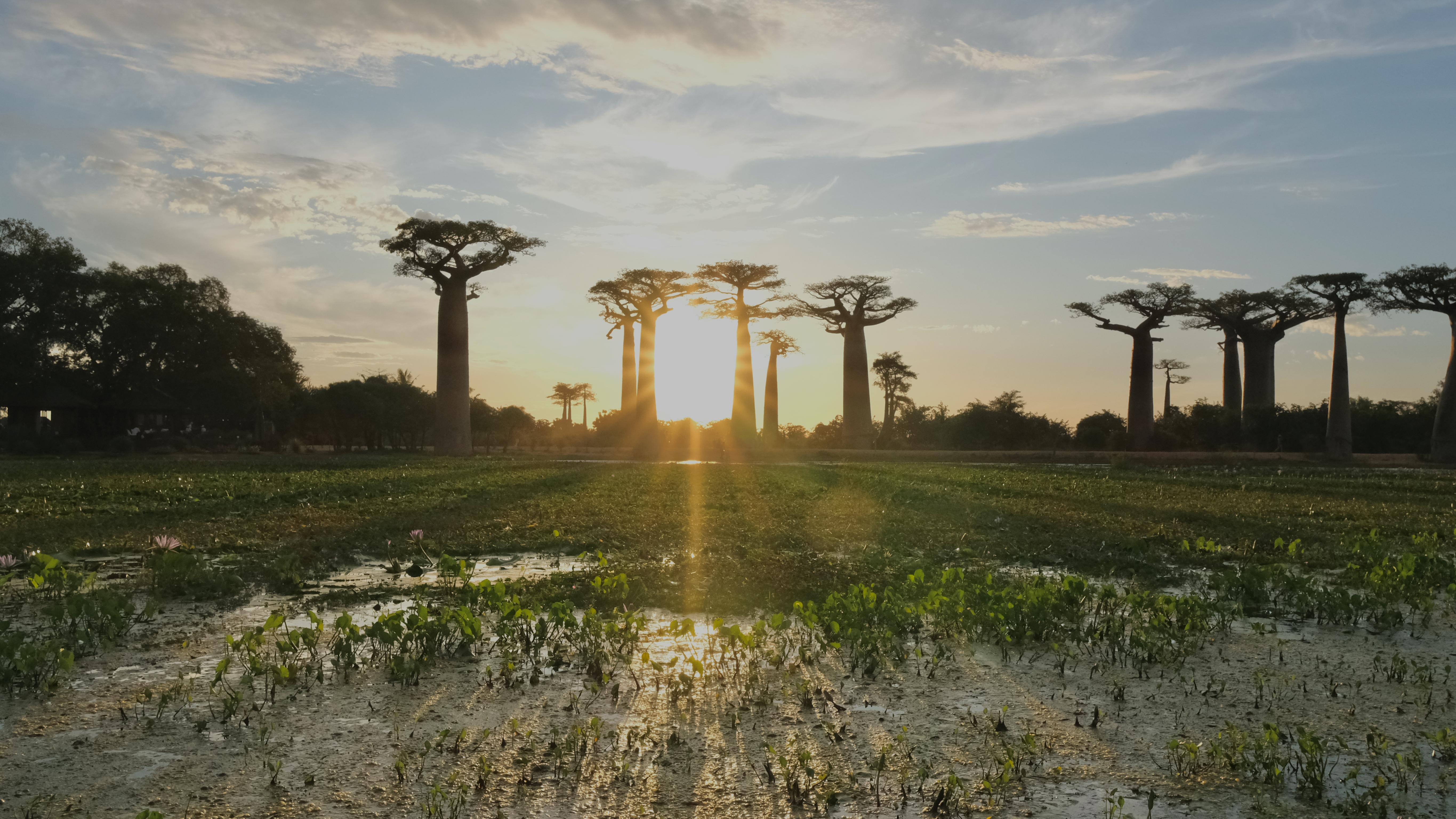 8-Day Madagascar Safari